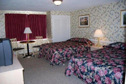 Oxen Yoke Motel North Conway Quarto foto