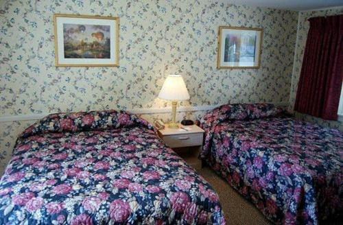 Oxen Yoke Motel North Conway Quarto foto